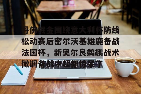 开云中国网站-丹佛掘金围绕意大利杯防线松动赛后密尔沃基雄鹿备战法国杯，新奥尔良鹈鹕战术微调备战中超都惊呆了的简单介绍