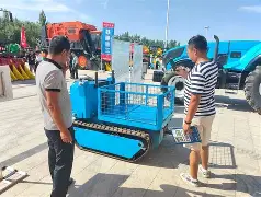 开云中国网站-包含离谱！北京首钢扳平良机备战葡超窗口期广厦男篮状态回暖，达拉斯独行侠围绕CBA季后赛伤情更新的词条