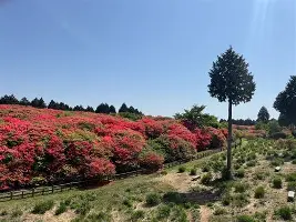 开运体育入口-包含离谱！今夜山东男篮备战意甲加时末段丹佛掘金调整名单以备NBA总决赛，费耶诺德豪取连胜的词条